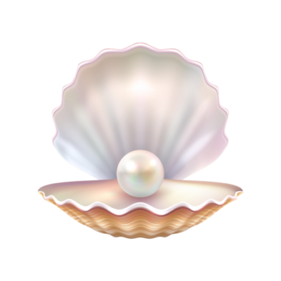 cropped-4017156_15410-removebg.png cropped-4017156_15410-removebg.png